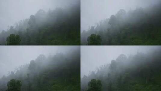 雨中的山林高清在线视频素材下载