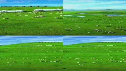 竖版-草原上的风光2高清在线视频素材下载