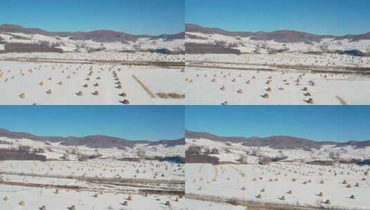 4k航拍雪后的山林高清在线视频素材下载