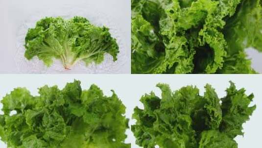 绿色蔬菜生菜高清在线视频素材下载