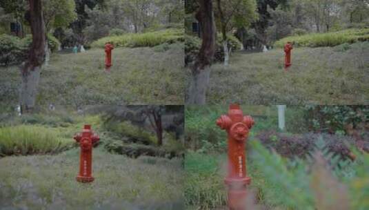 公园草地上的室外消防栓高清在线视频素材下载