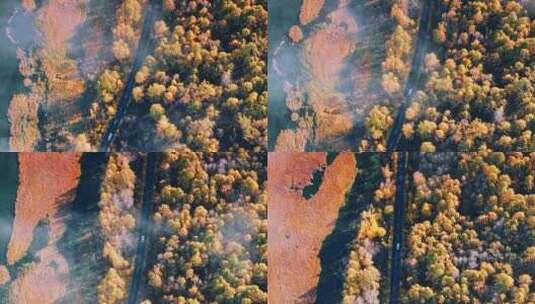 阿尔山乌苏浪子湖风景区高清在线视频素材下载