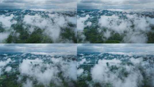 自然森林穿过云雾绿水青山航拍视频高清在线视频素材下载