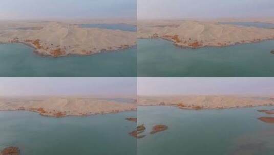 航拍秋天清晨的新疆罗布湖风景高清在线视频素材下载