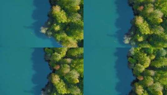 无人机拍摄的湖泊和森林高清在线视频素材下载