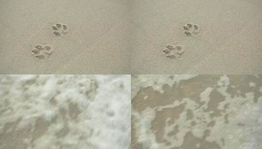 沙滩上小狗的脚印，被海浪吹平，可爱高清在线视频素材下载