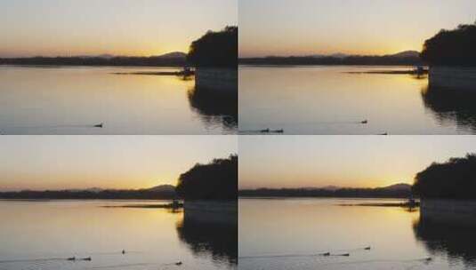 颐和园昆明湖鸭子游过湖面夕阳晚霞高清在线视频素材下载