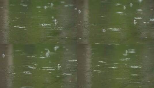 下雨清明谷雨酸雨倾盆大雨蒙蒙细雨高清在线视频素材下载