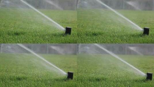180帧慢动作夏天草地浇水高清在线视频素材下载
