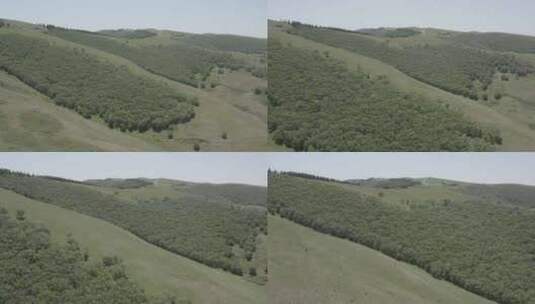 航拍内蒙古呼和浩特敕勒川高山草原夏季风光高清在线视频素材下载