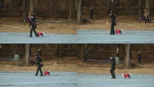 冬天女人带领可爱小狗结冰湖面雪地行走开心高清在线视频素材下载