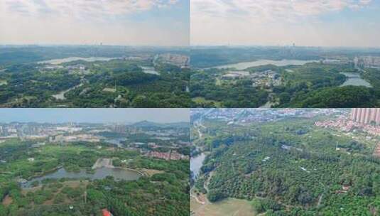 东莞植物园 水濂湖公园大景航拍高清在线视频素材下载