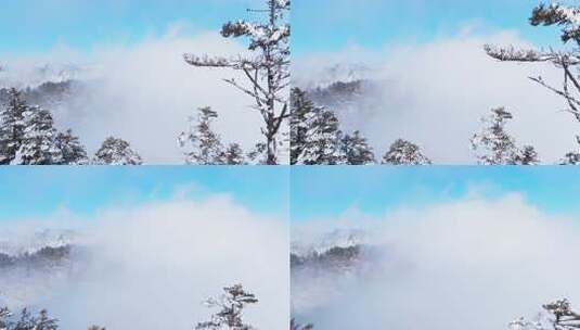 四川西岭雪山美丽风景冬天白雪皑皑云雾缭绕高清在线视频素材下载