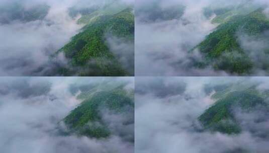 航拍山川云雾森林自然风光大气片头风景视频高清在线视频素材下载