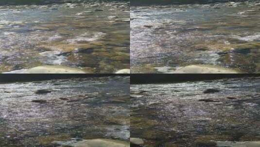 美丽流动的河水水流高清在线视频素材下载