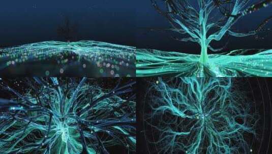 宽屏粒子树 视频素材高清在线视频素材下载