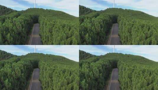 汽车公路尽头驶来汽车行驶在树林森林公路中高清在线视频素材下载