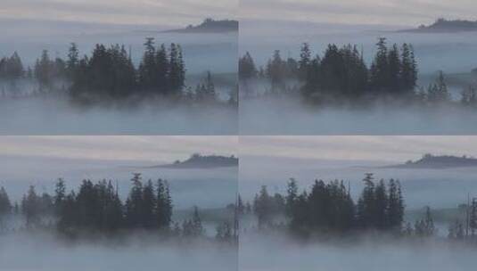 山林的薄雾景观高清在线视频素材下载