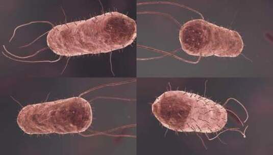 医疗病菌病毒细菌分子病原体生物三维动画高清在线视频素材下载