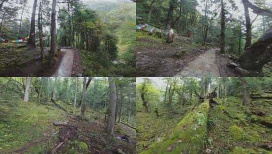 雨崩村航拍高清在线视频素材下载