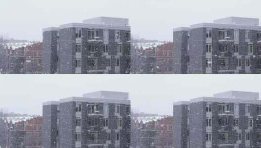 冬天雪花飘落建筑物大楼小区高清在线视频素材下载
