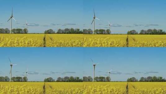 油菜花田里的风力发电高清在线视频素材下载