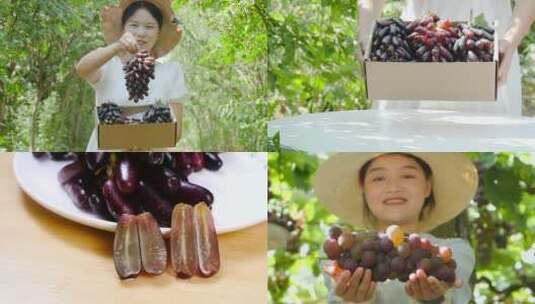 新鲜葡萄素材高清在线视频素材下载