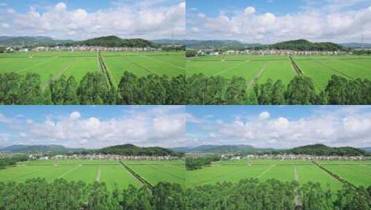 夏日里绿油油的稻田风车美丽的乡村田野航拍高清在线视频素材下载