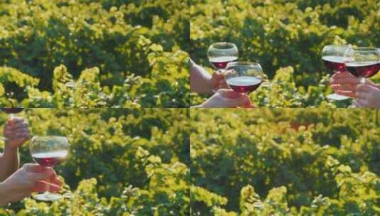 朋友们在葡萄园里用红酒干杯高清在线视频素材下载