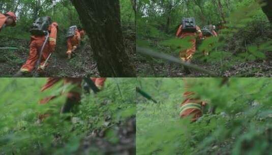 森林防火工作人员森林日常巡护高清在线视频素材下载