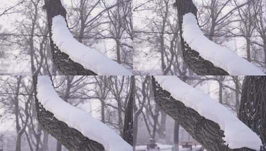 乌鲁木齐红山公园冬季雪景高清在线视频素材下载