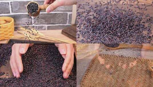 黑米 紫米 五谷杂粮高清在线视频素材下载