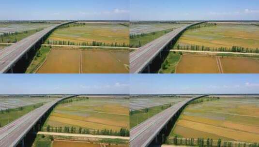 黄河大桥与稻田-道路交通农业灌溉高清在线视频素材下载