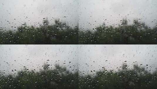 下雨天窗外风景水滴雨珠树林森林雨水风光高清在线视频素材下载