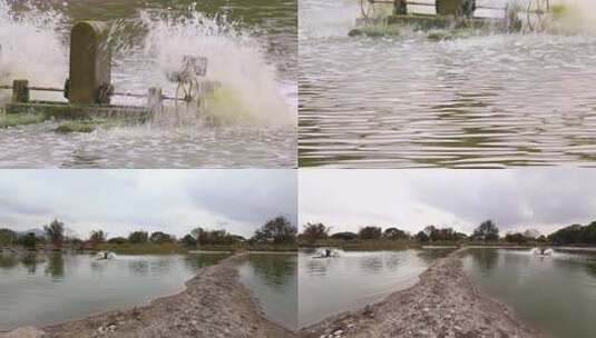l1湿地湖中水车高清在线视频素材下载