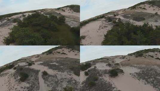 FPV特写镜头拍摄了绿色树叶和柔软白色沙丘的沙漠小径高清在线视频素材下载