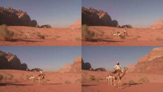 男人骑骆驼过沙漠高清在线视频素材下载
