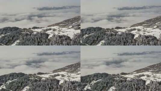 航拍湖北神农架冬季冬天云海冰雪雪松雪景高清在线视频素材下载