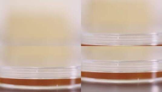细菌培养基菌群检测细菌检测培养皿高清在线视频素材下载