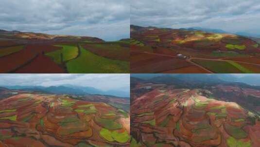 红土地视频中国云南东川红色耕地高清在线视频素材下载