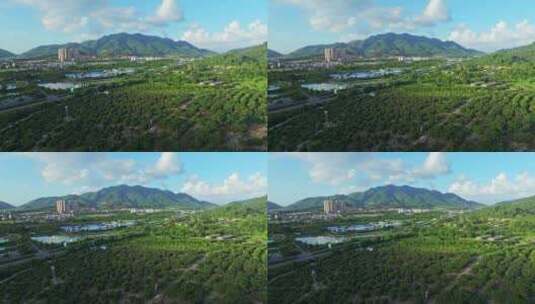 广东绿水青山水库自然风光4k航拍高清在线视频素材下载