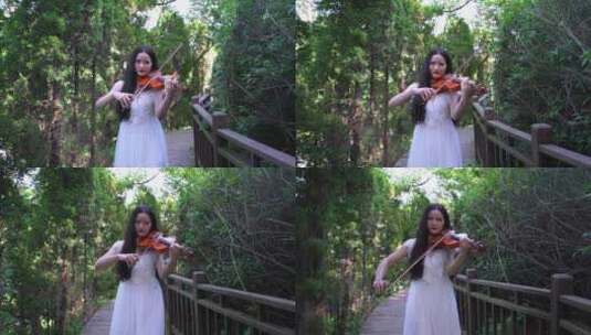 拉小提琴的美女高清在线视频素材下载