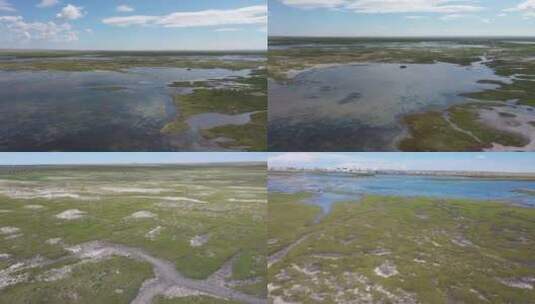 内蒙古生态修复土地复垦湖泊动物高清在线视频素材下载