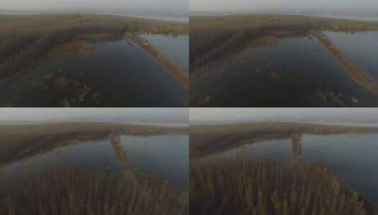 湿地树林高清在线视频素材下载