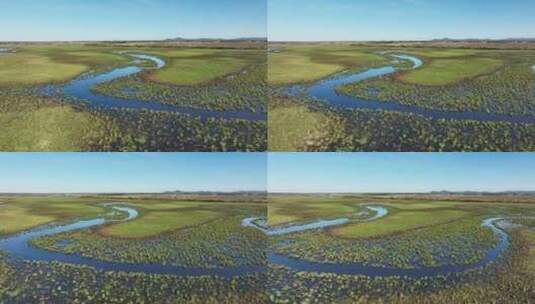 黑龙江挠力河国家级自然保护区湿地航拍高清在线视频素材下载