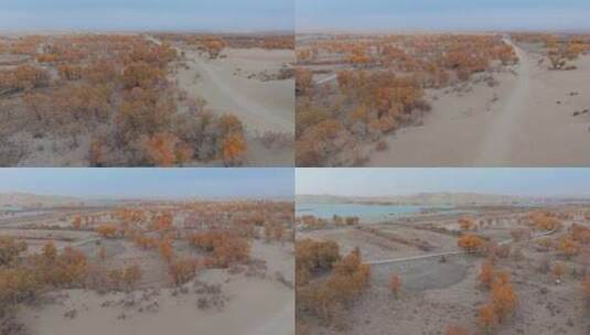 航拍秋天清晨的新疆罗布湖风景高清在线视频素材下载