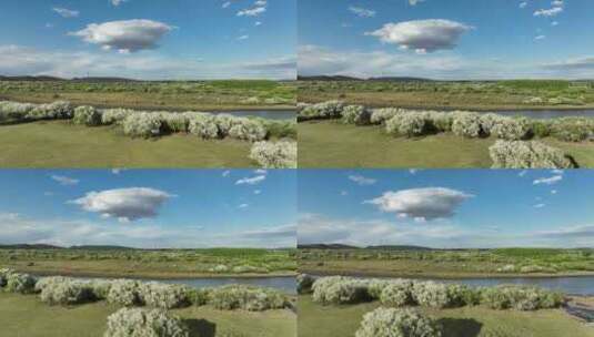 海拉尔河湿地自然风光高清在线视频素材下载