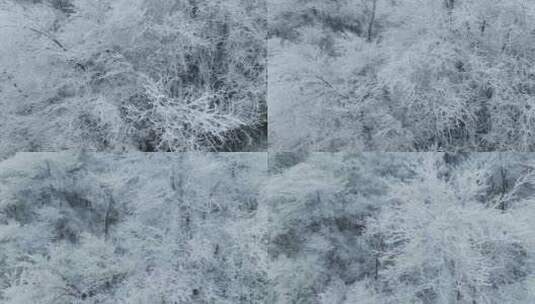 杭州临安牵牛岗雪景雾凇航拍下雪高清在线视频素材下载