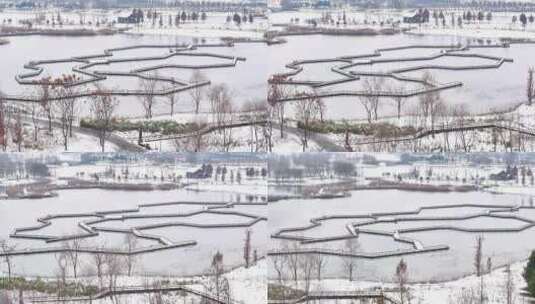 航拍湿地公园雪景树林湖岛高清在线视频素材下载