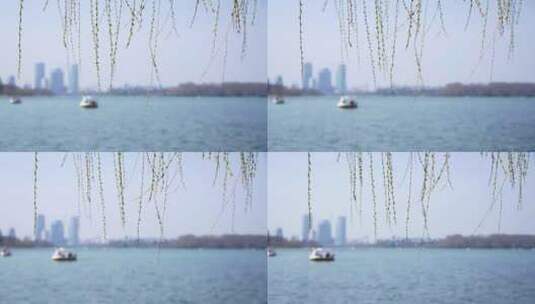 春天南京玄武湖边柳树柳枝和柳芽在风中摇摆高清在线视频素材下载